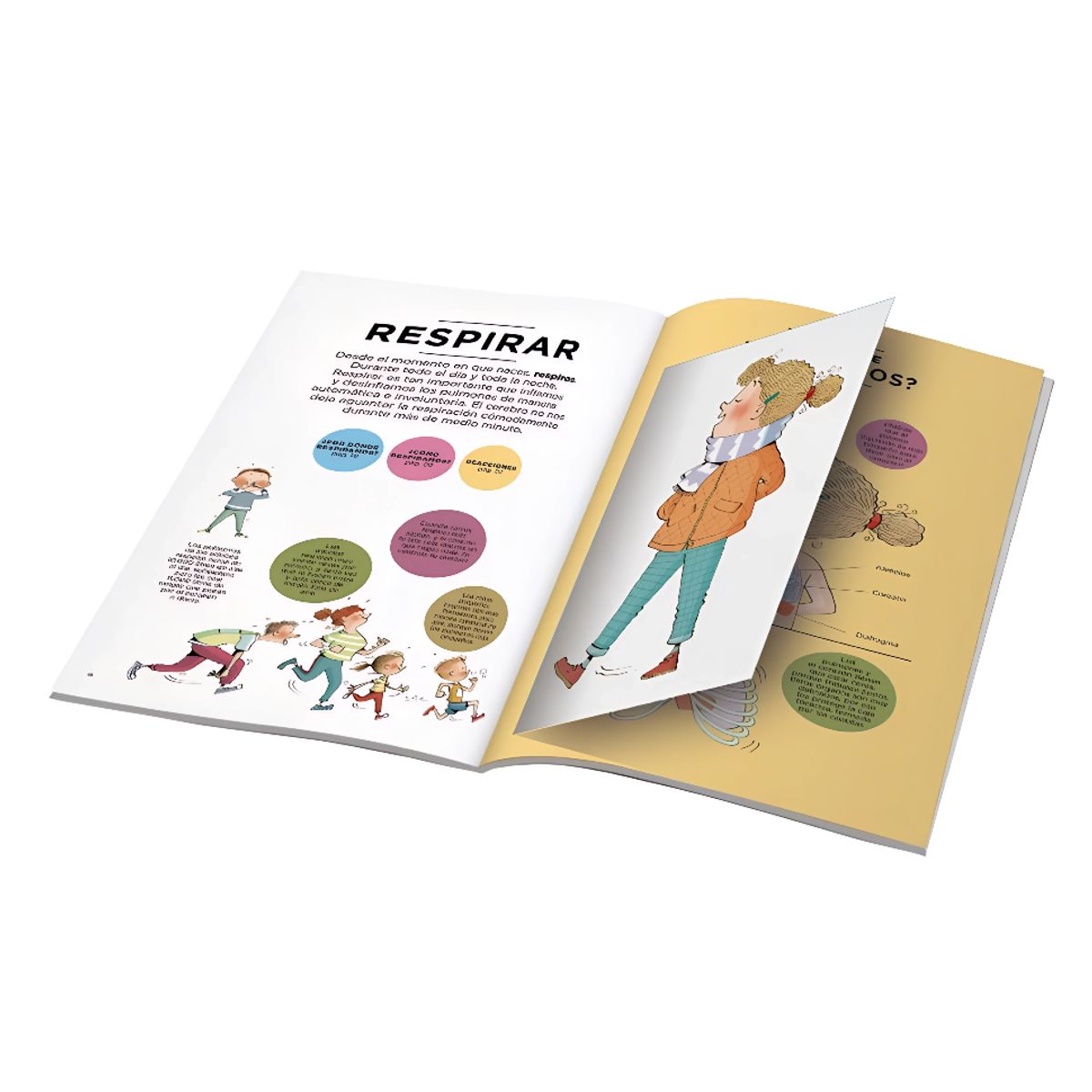 COMBEL - El Cuerpo Humano Por Fuera