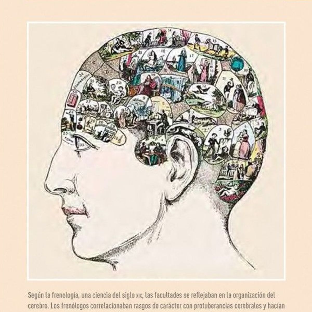 EDITORIAL CONTRAPUNTO - 100 Conceptos - Psicología