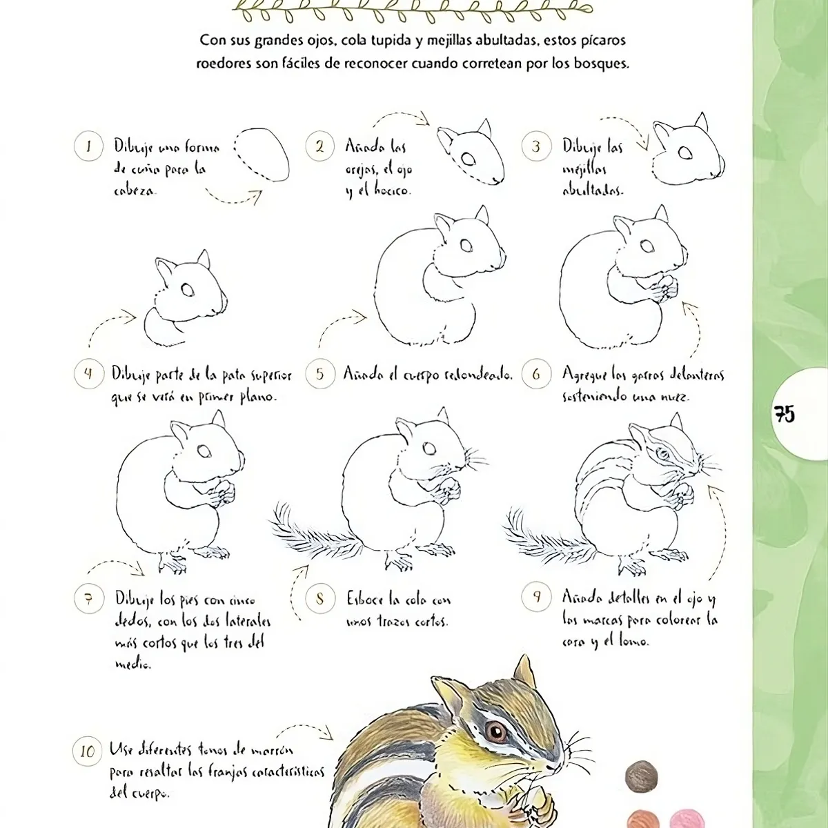 EDITORIAL CONTRAPUNTO - Dibujar En 10 Pasos - Animales Y Plantas
