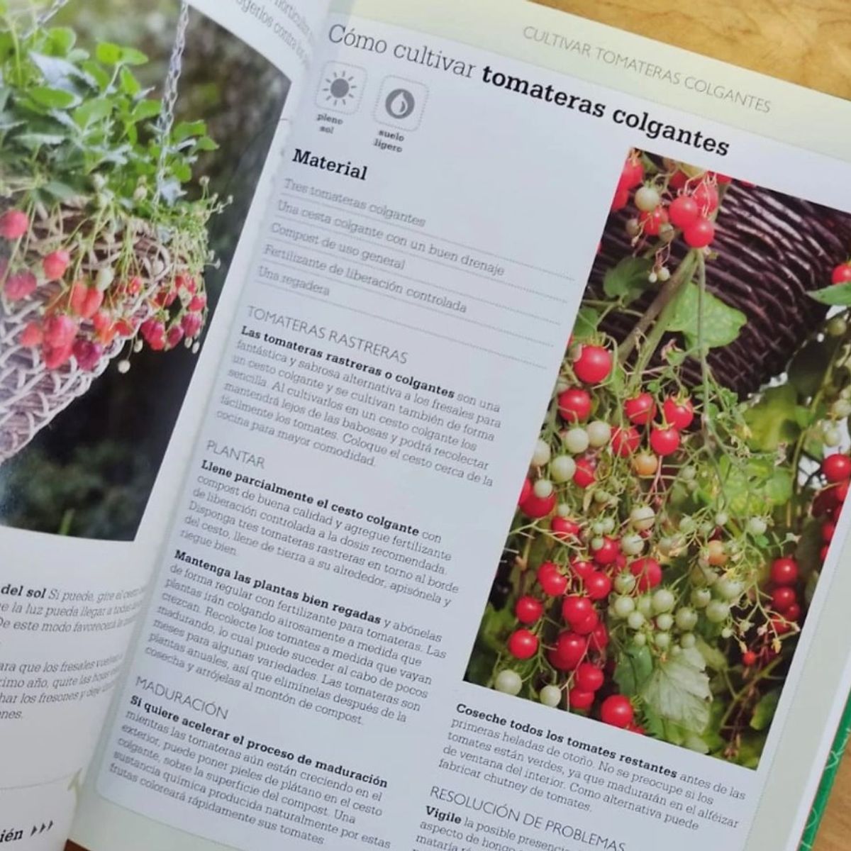 EDITORIAL CONTRAPUNTO - Curso Básico De... - Cultivo De Fruta Y Hortalizas