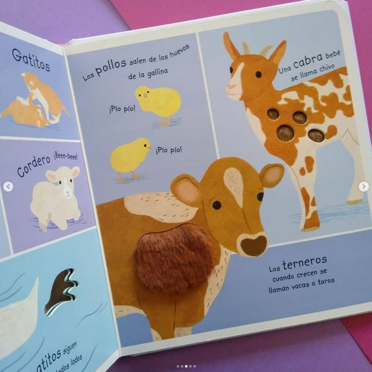 EDITORIAL CONTRAPUNTO - Encuentra, Siente Y Aprende - Animales De La Granja