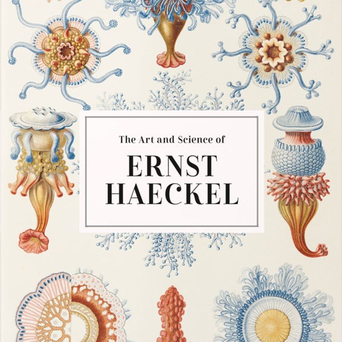 TASCHEN - Colección 40 aniversario  - Ernst Haeckel