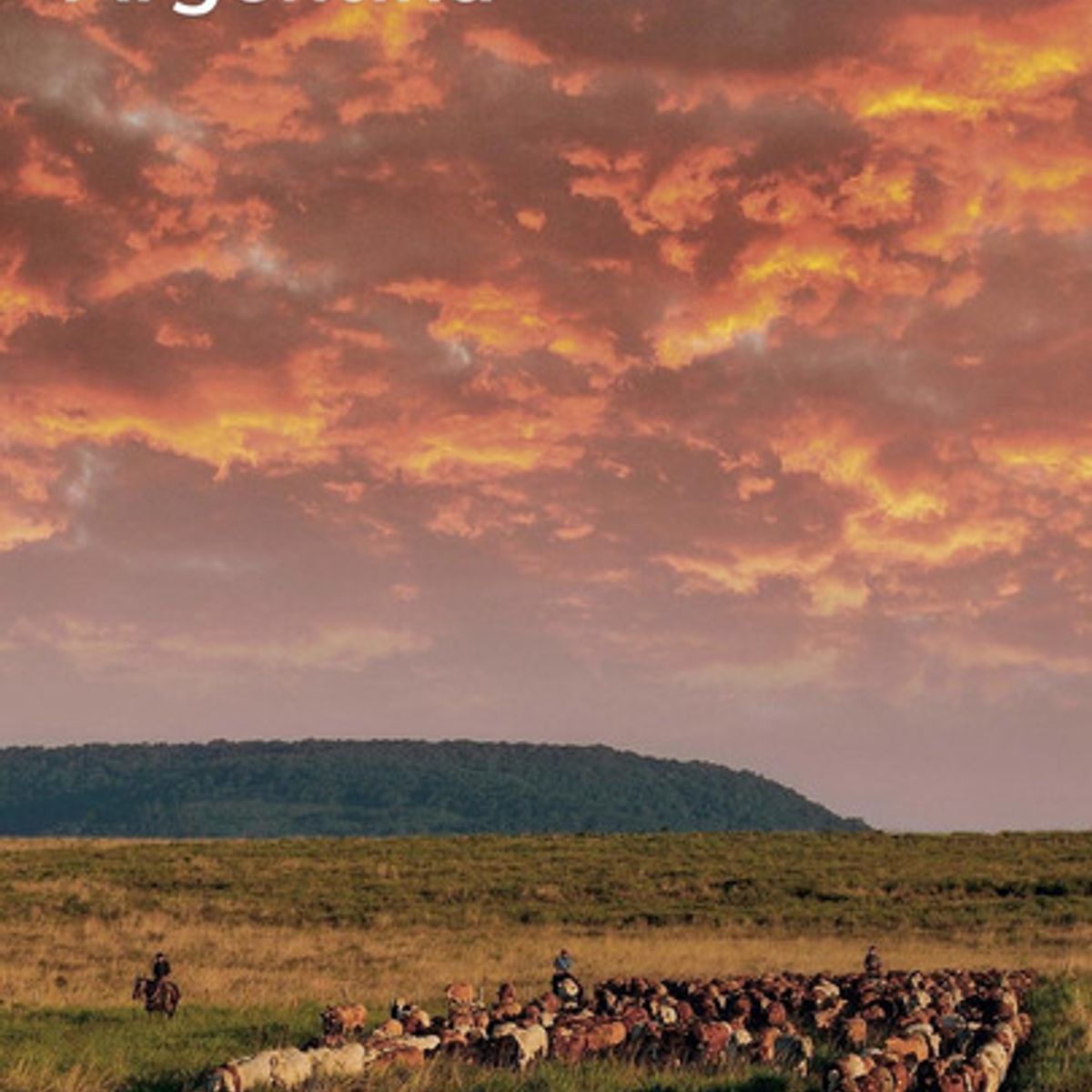 KONEMANN - Libro Argentina - Paises Y Reg. Flexi - Argentina