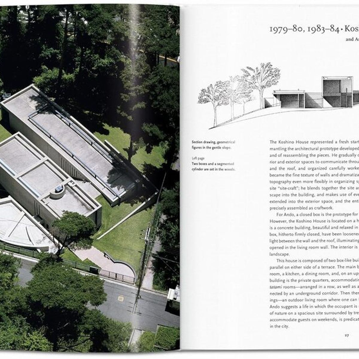 TASCHEN - Col. Basic Art - Ando