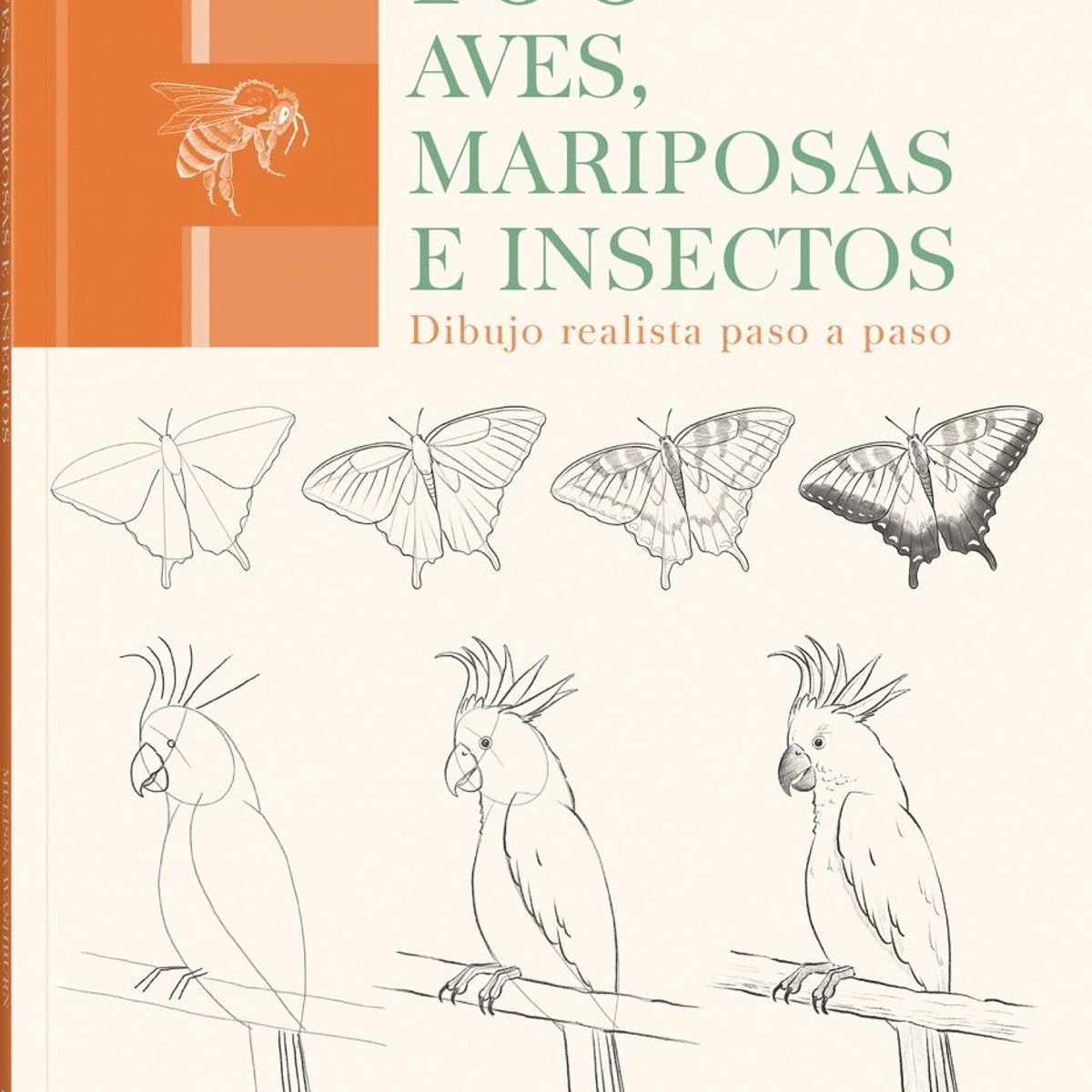 EDITORIAL CONTRAPUNTO - 100 Aves, Mariposas E Insectos