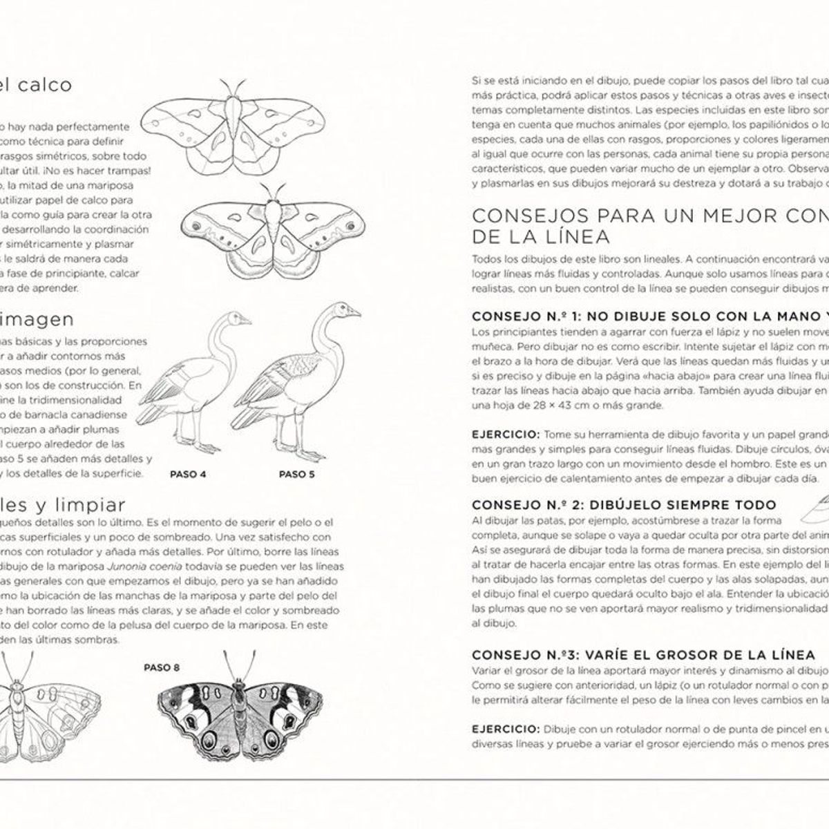 EDITORIAL CONTRAPUNTO - 100 Aves, Mariposas E Insectos