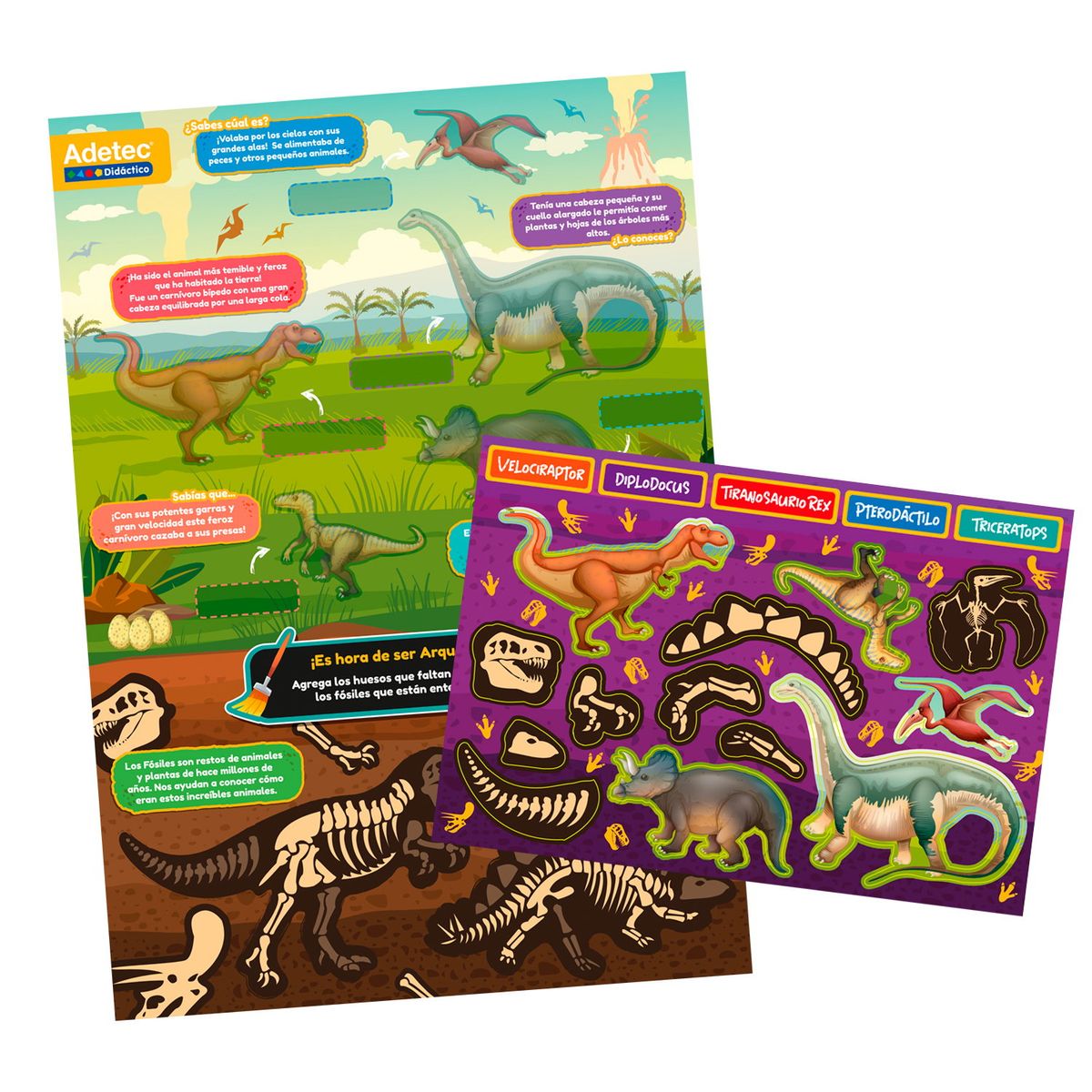 ADETEC - Juguete Láminas Magnéticas Dinosaurios Juega Y Aprende