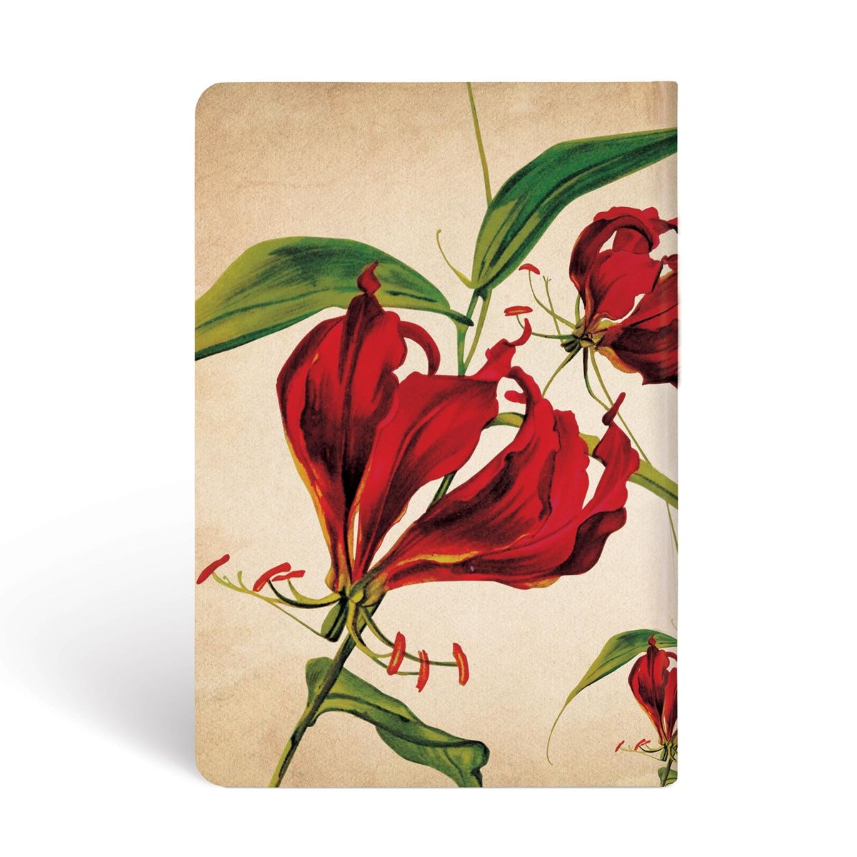 PAPER BLANKS - Libreta Gloriosa Lily Mini Tapa Dura