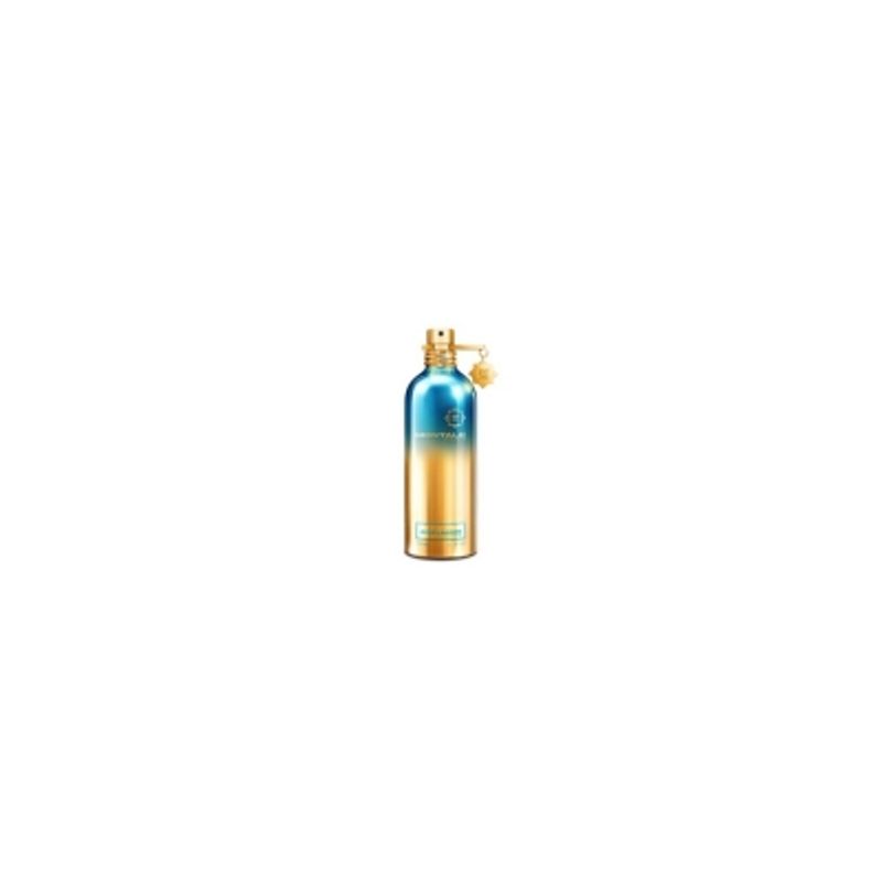 MONTALE PARIS - Aoud Lagoon EDP 100 ml