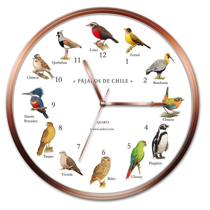 ANDES1 - Reloj De Pared Pájaros De Chile