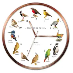 ANDES1 - Reloj De Pared Pájaros De Chile