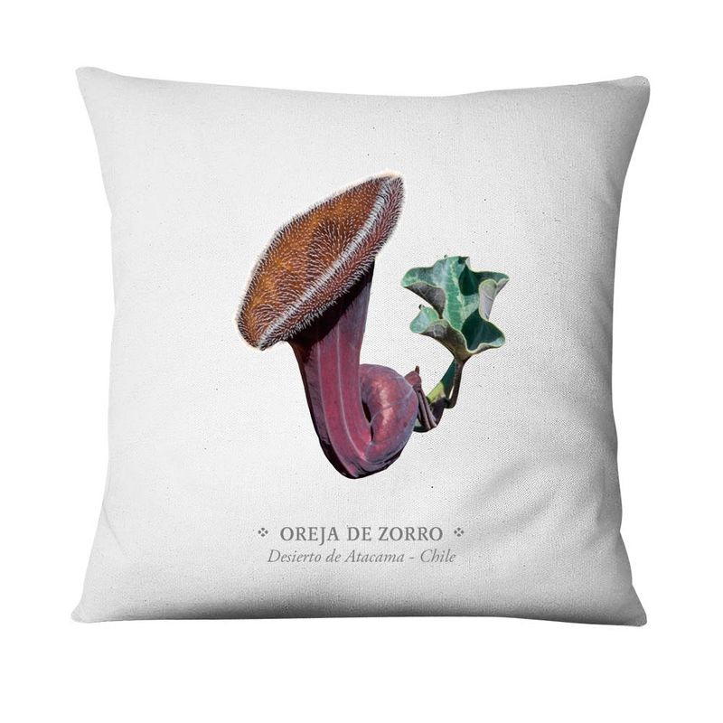 ANDES1 - Funda De Cojín De Oreja De Zorro