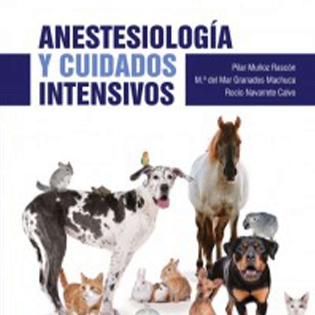 EDITORIAL MEDITERRANEO - Libro Manual Veterinaria. Anestesiologia Y Cuidados Intensi