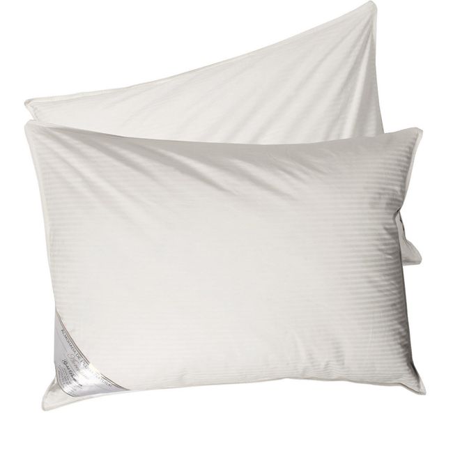 MASEL - Set 2 almohadas pluma natural florentino 50 x 90.