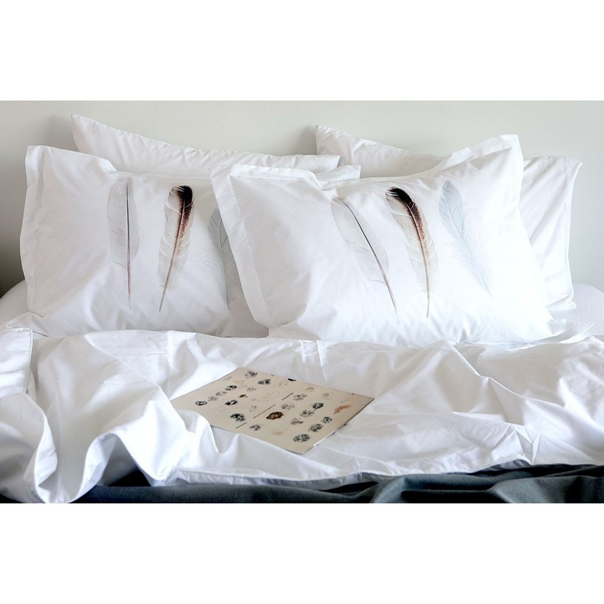 TUYO PRINT - Funda De Almohada Plumas