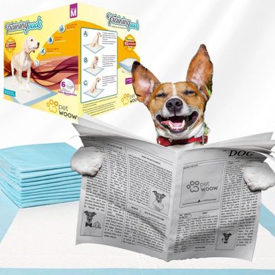 Imagen 2 del producto 100 Sabanillas entrenamiento para perros 45x60