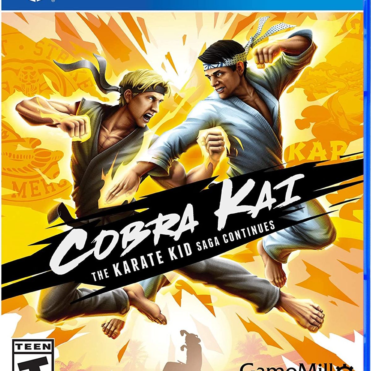 SONY - Cobra Kai Karate Kid Saga Continues - Ps4 - Sniper