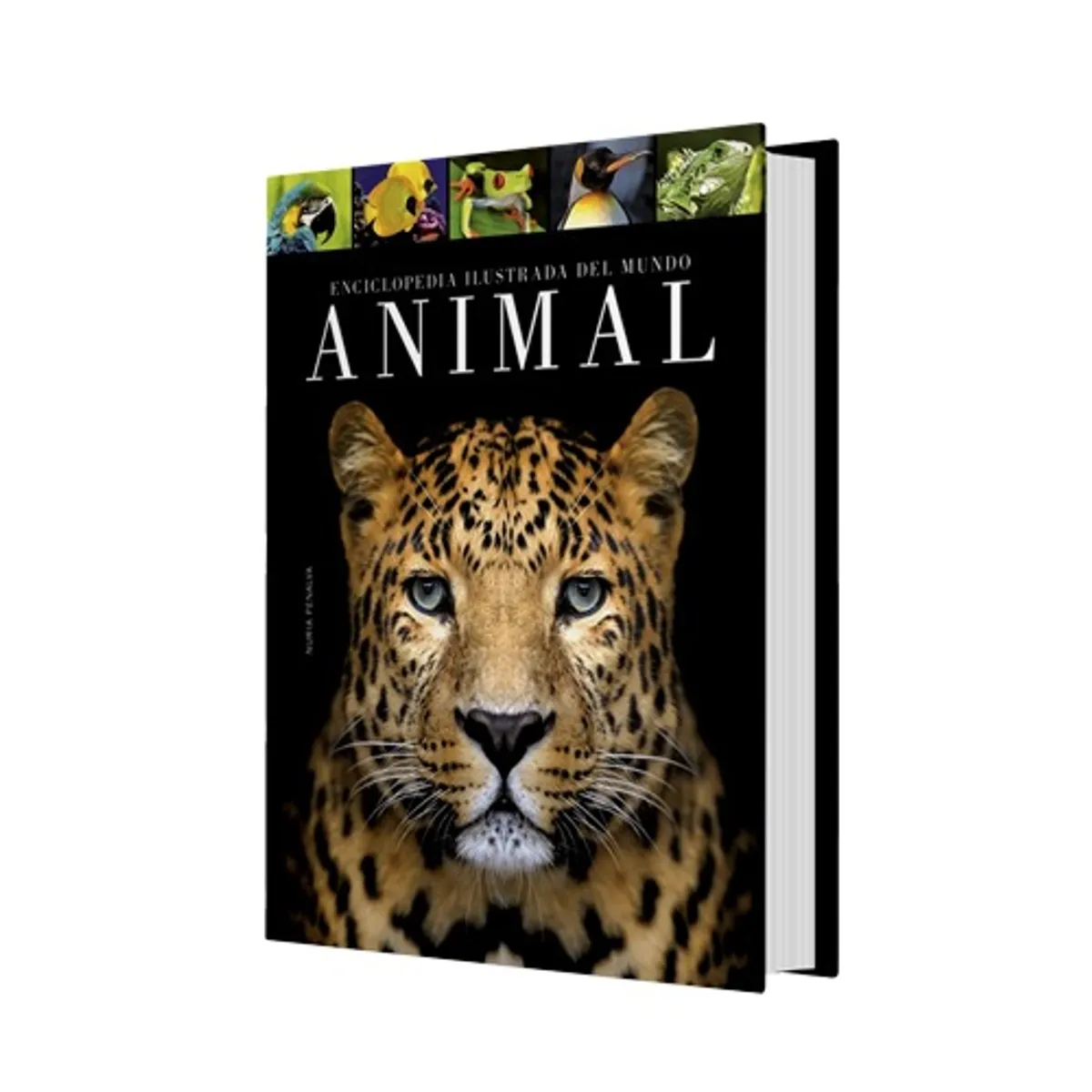 EDITORIAL CONTRAPUNTO - Enciclopedia Ilustrada Del Mundo Animal