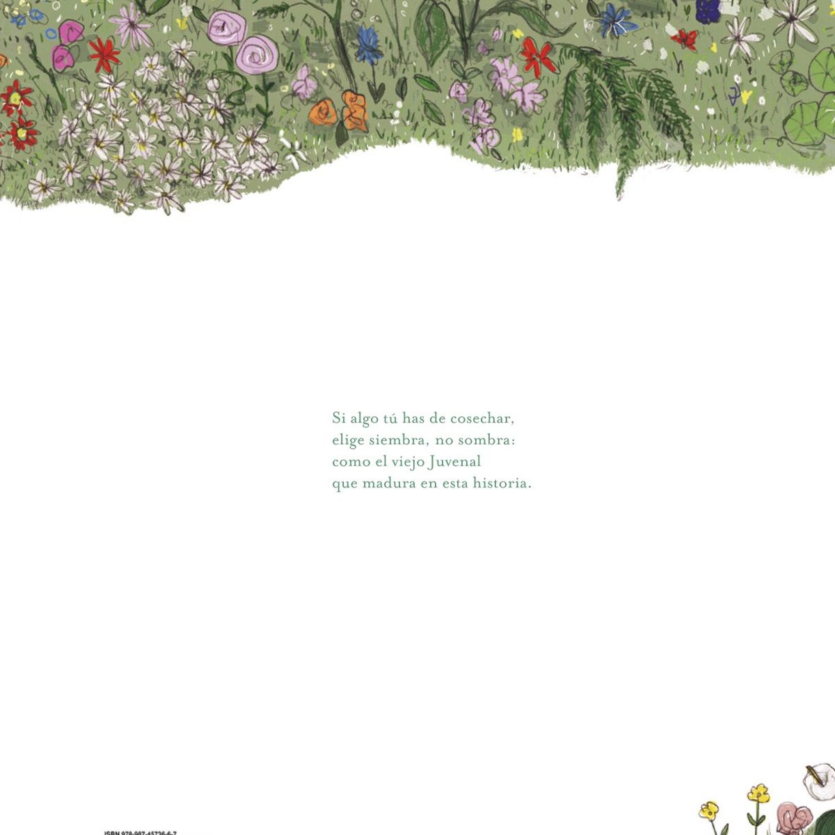 ZIG ZAG - Libro Júbilo  - Literatura Infantil