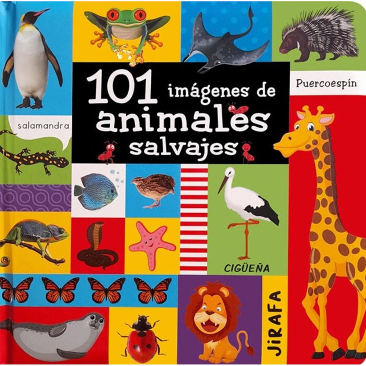 SILVER DOLPHIN - 101 Imagenes - De Animales Salvajes