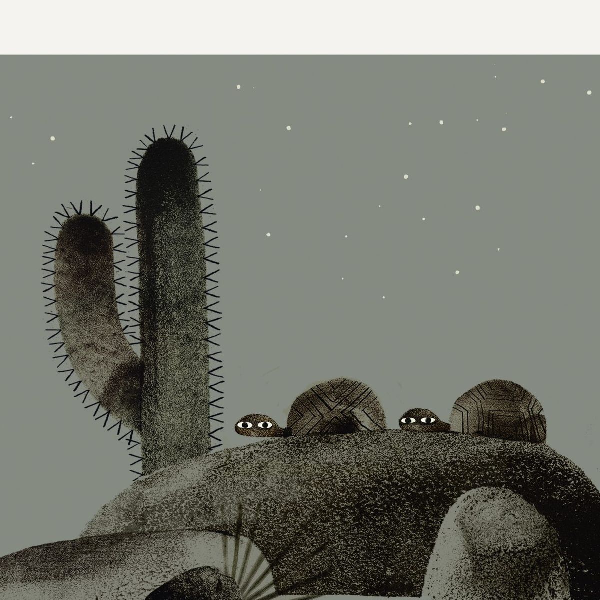 NUBEOCHO - Dos Tortugas Y Un Sombrero