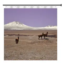 GENERICO - Cortina De Baño Impermeable - Desierto de Atacama en Chile
