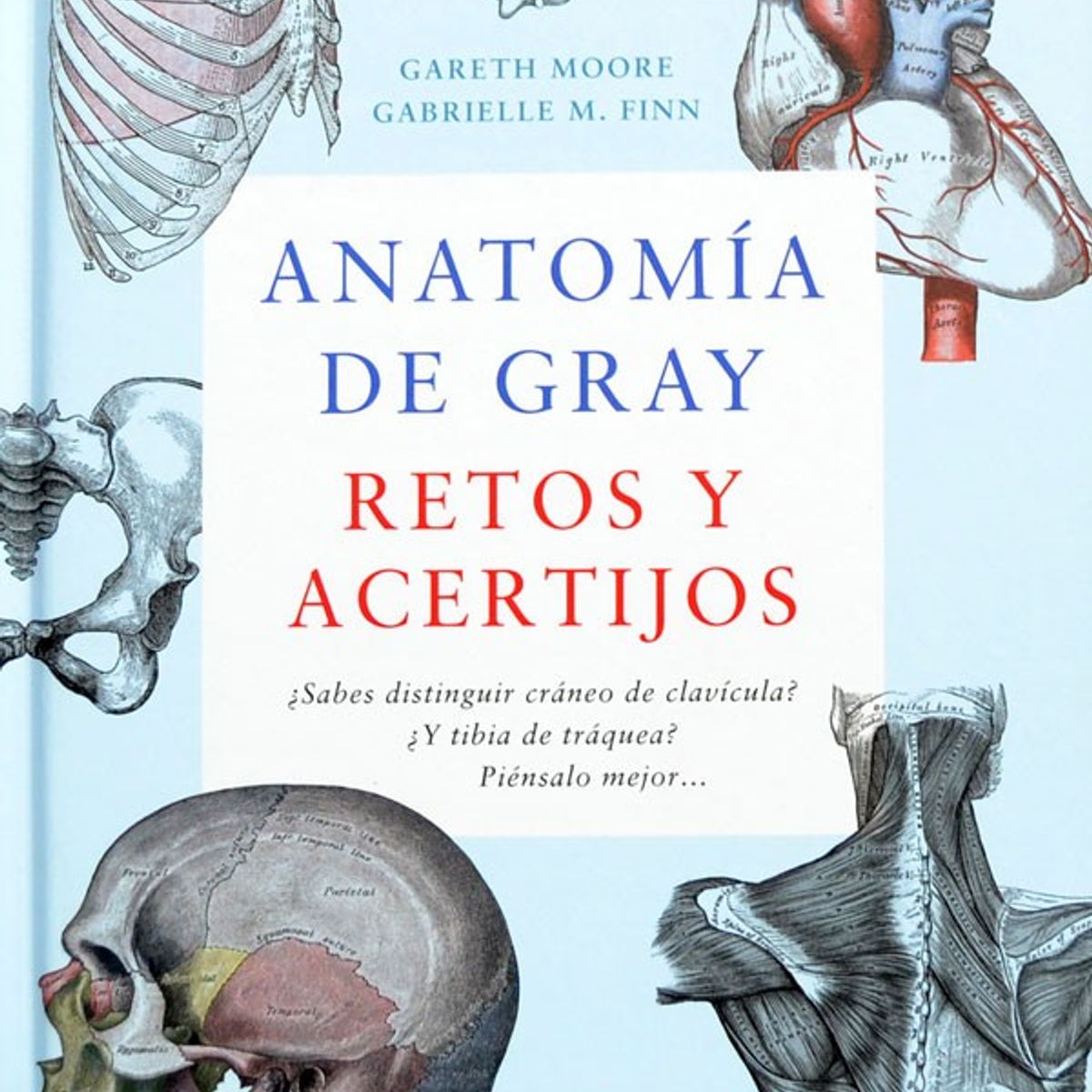 EDITORIAL CONTRAPUNTO - Anatomía De Gray. Retos Y Acertijos
