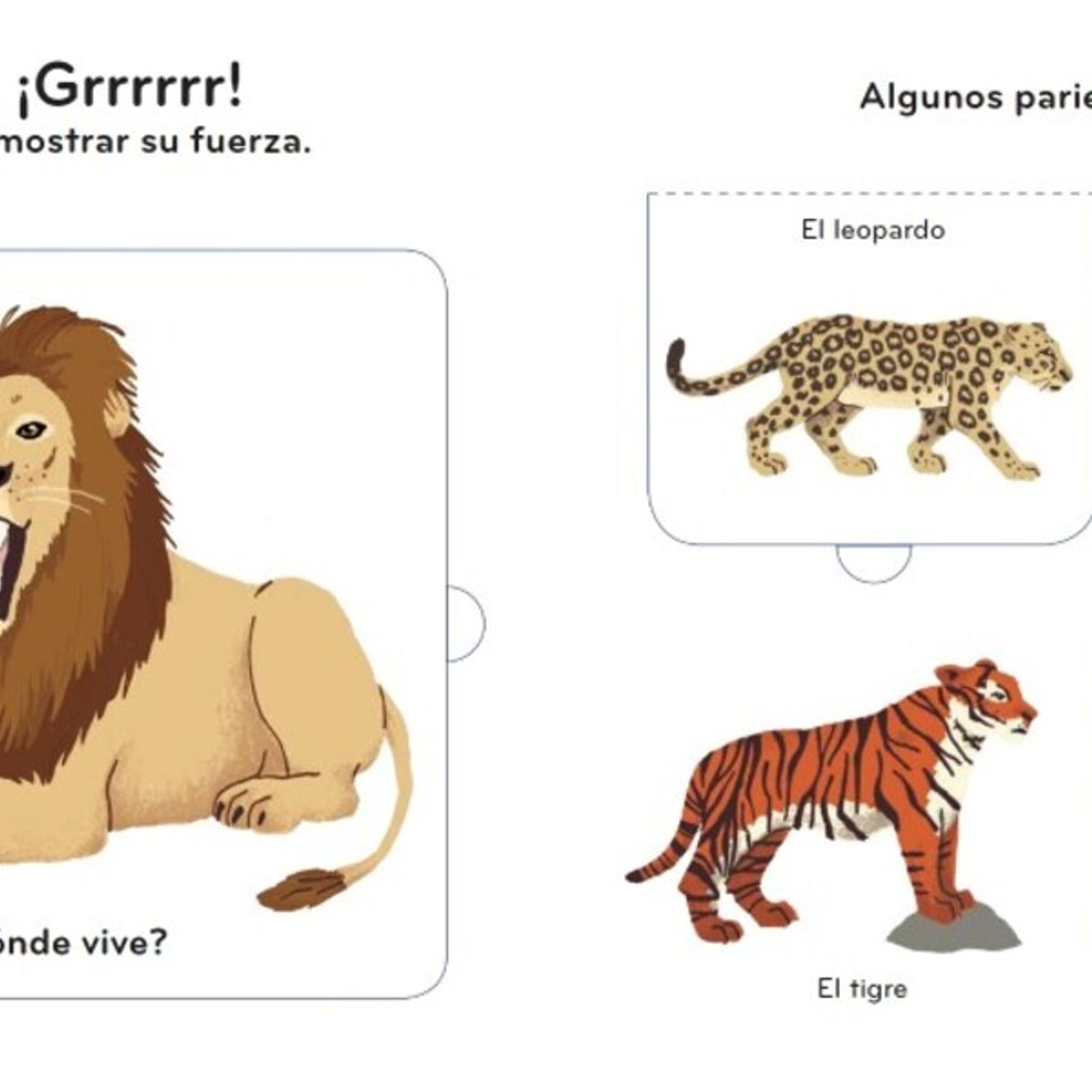 BLUME - Primeros Descubrimientos - Los Animales Salvajes