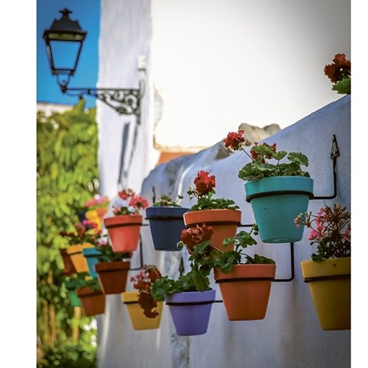 GUSTAVO GILI - El Pequeño Libro Del Color