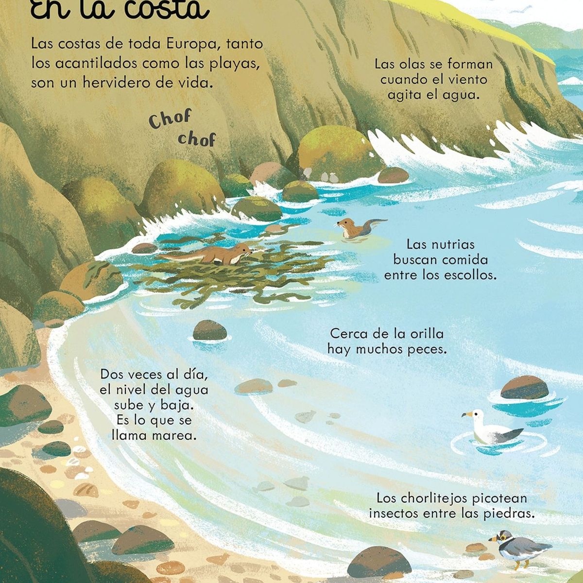 USBORNE - Mira Debajo - Mares y Océanos