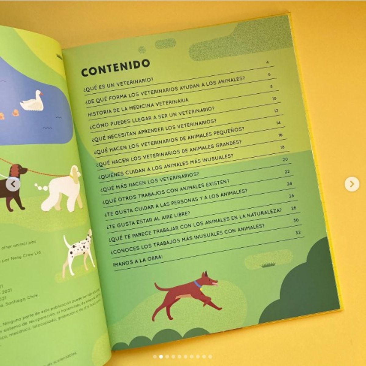 EDITORIAL CONTRAPUNTO - Cómo ser un veterinario y otros trabajos con animales