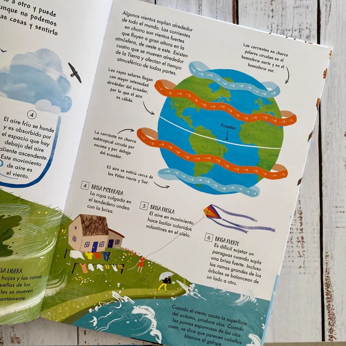 EDITORIAL CONTRAPUNTO - Mi Primer Libro Del Clima