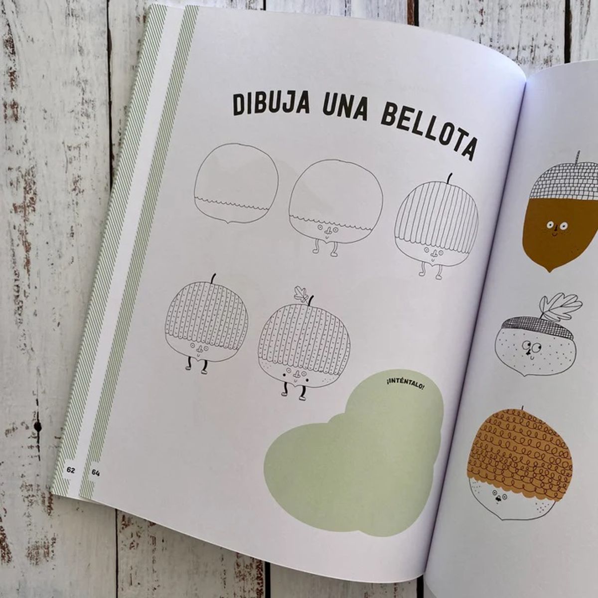 EDITORIAL CONTRAPUNTO - Dibuja 62 Cosas De La Naturaleza Y Hazlas Lindas