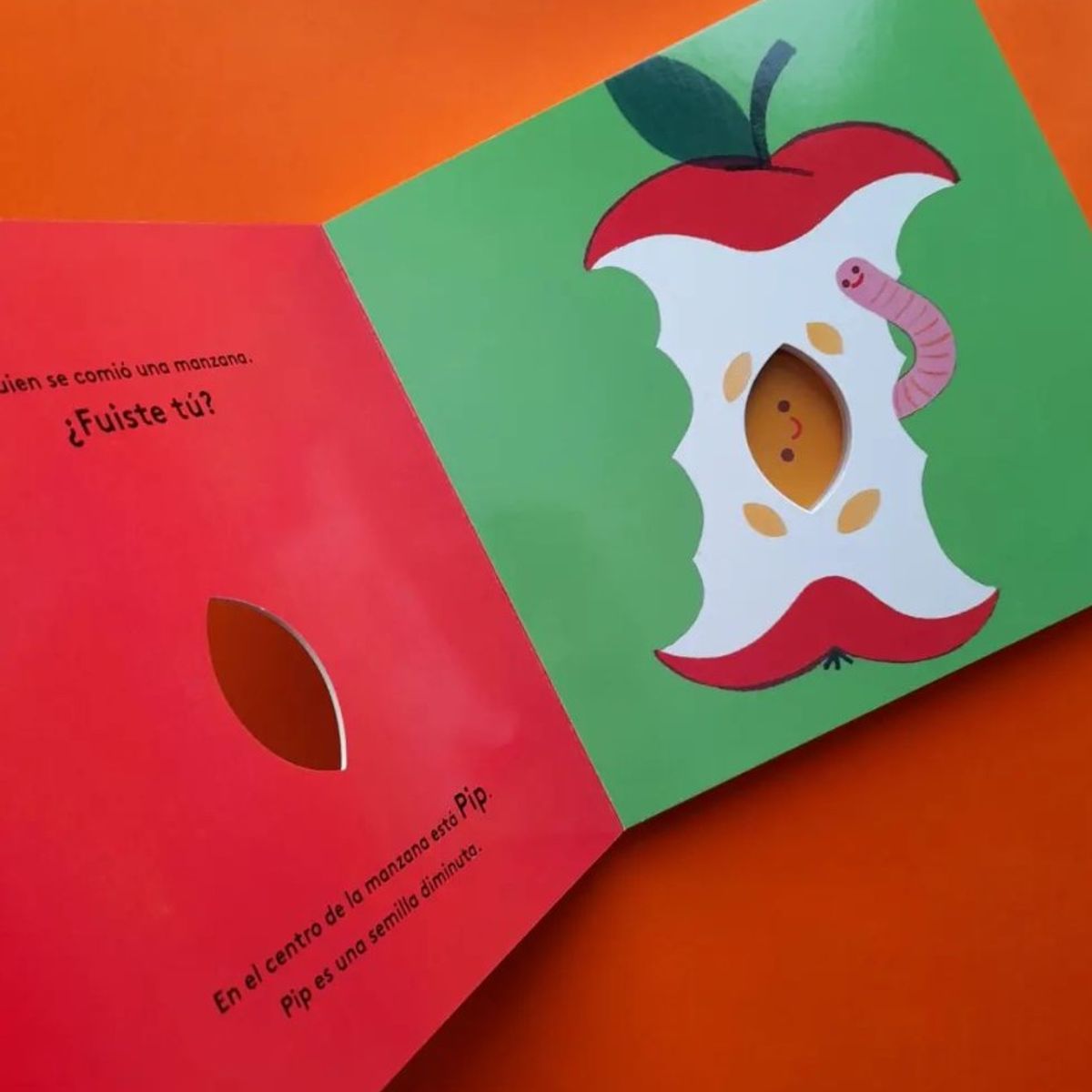 EDITORIAL CONTRAPUNTO - Pip. Pequeños Ciclos De La Vida