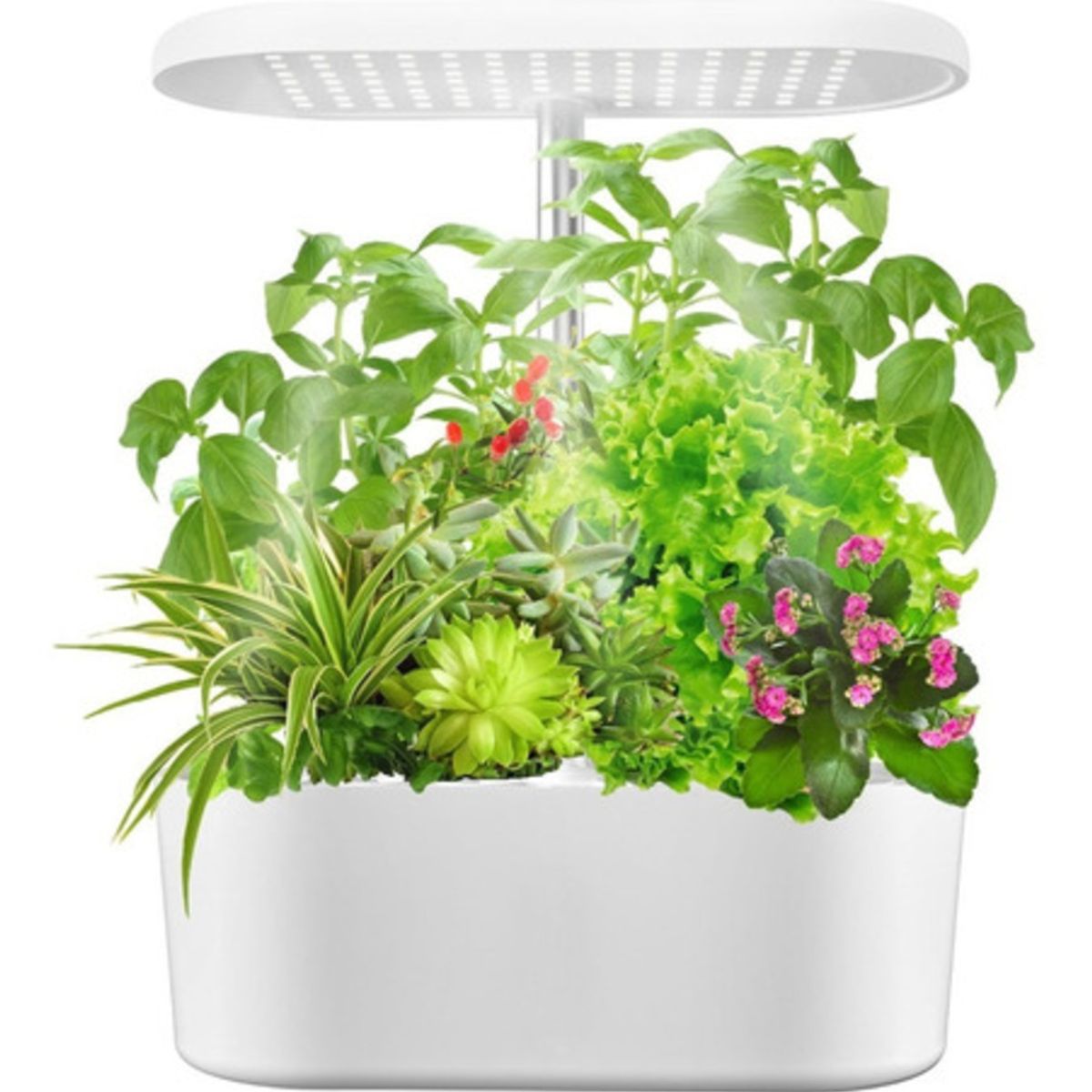 COLOR LAB - Sistema de cultivo hidropónico para interiores COLOR LAB