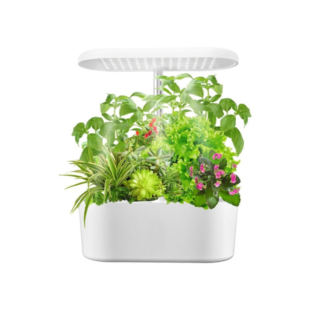 COLOR LAB - Sistema de cultivo hidropónico para interiores COLOR LAB