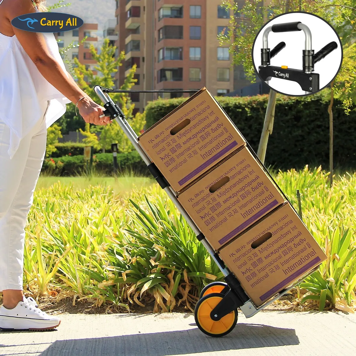 CARRY ALL - Carro de Carga Plegable Tipo Yegua 150 Kilos Manillas Cuerda