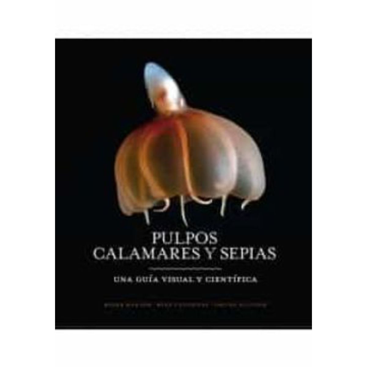 RETAILEXPRESS - Pulpo, Calamares y Sepias (Una Guia Visula Cientifica)