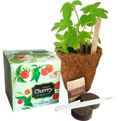 POT GARDEN - Kit de siembra plantas MI HUERTO TOMATE CHERRY