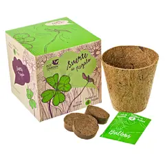 POT GARDEN - KIT SUERTE DE REGALO TRÉBOL DE 4 HOJAS