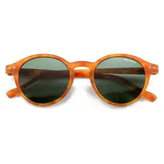 MONTREAL - Lentes de Sol Hombre Mujer Anteojos Filtro UV Calgary