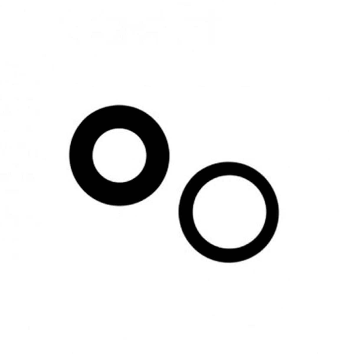 GENERICO - Vidrio De Camara Trasera Compatible con iPhone 11 - Lifemax