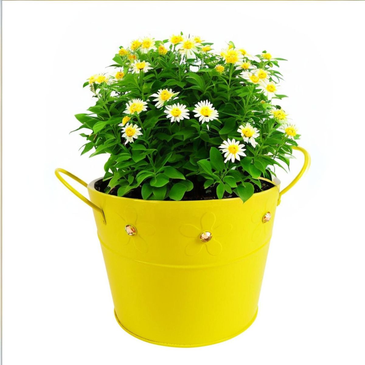 HOME ESSENTIALS - Balde de latón amarillo con gemas