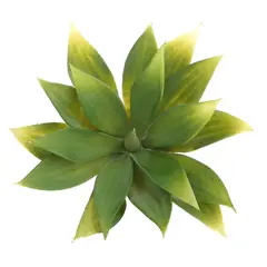 SOHOGAR - Suculenta artificial