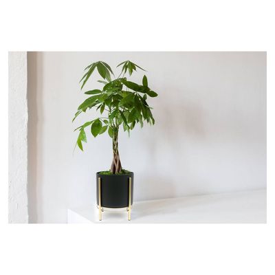 Imagen 2 del producto Maceta oslo Metal Negra M