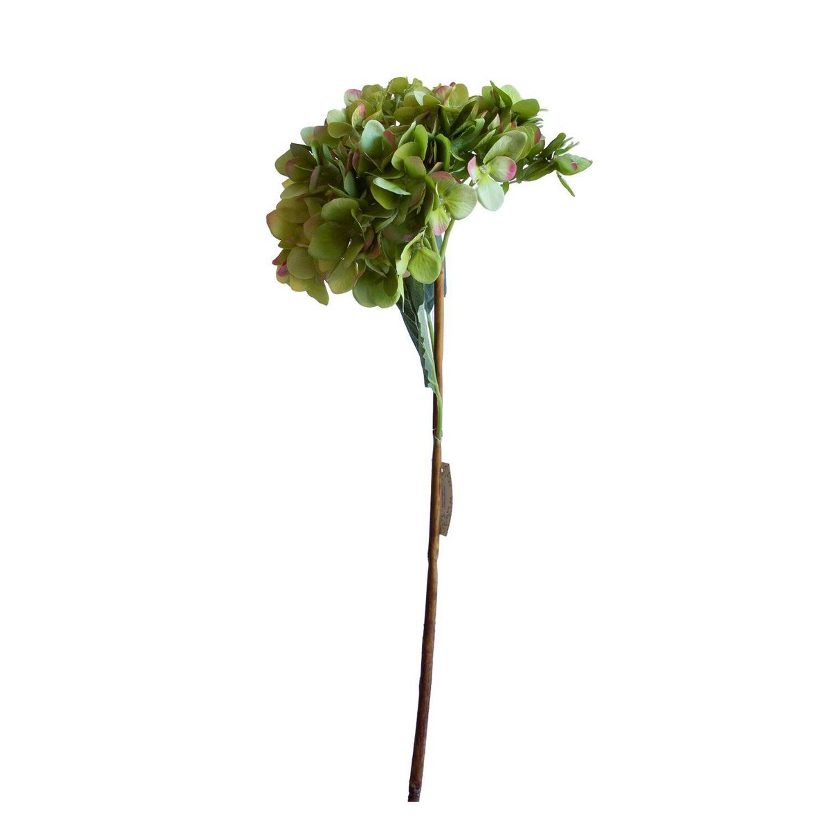 LE BOUQUET - 5 Hortensia Verde Flor Seda Artificial 66 Cm