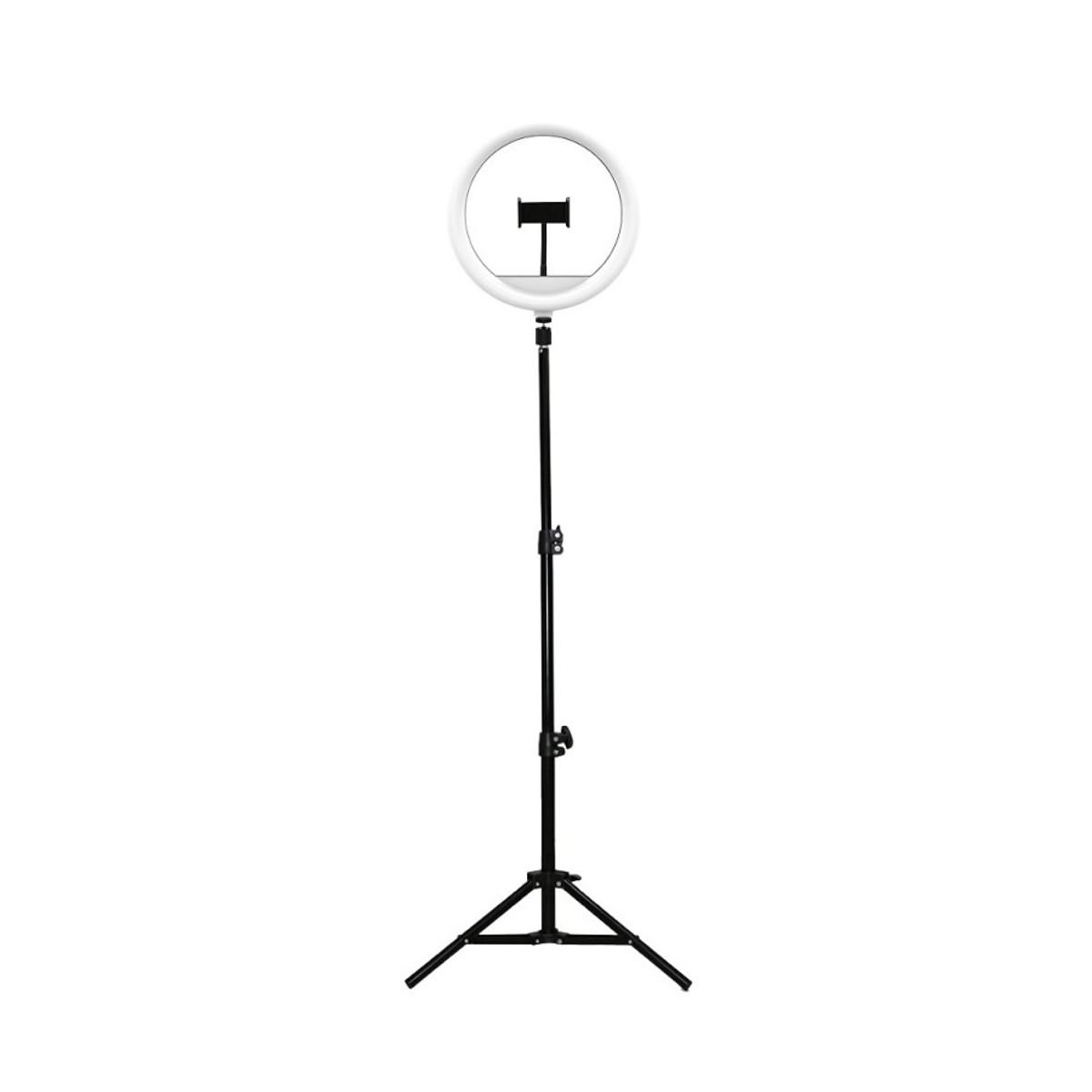 FUJITEL - Aro De Luz Led 26cm Con Tripode Fujitel