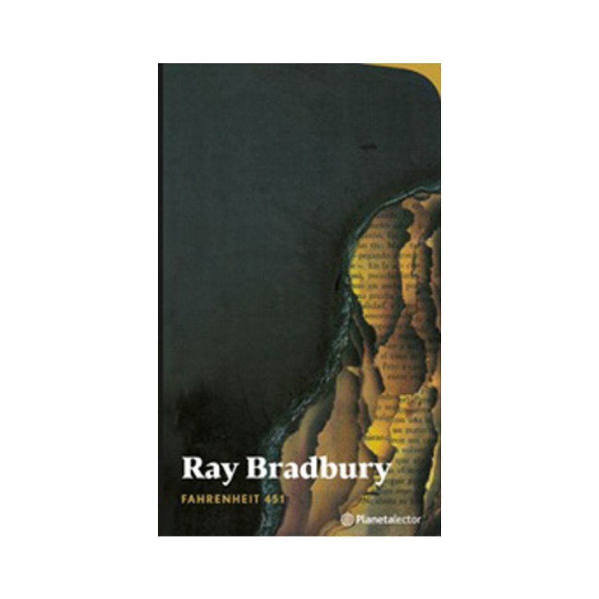 TOP10BOOKS - LIBRO Fahrenheit 451 - Fahrenheit 451