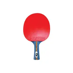 GILI - Paleta ping pong ultra clásica 4 estrellas