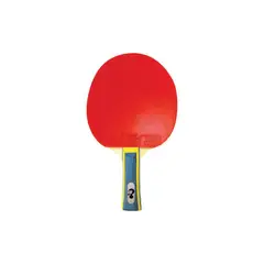 GILI - Paleta ping pong premium clásica 3 estrellas